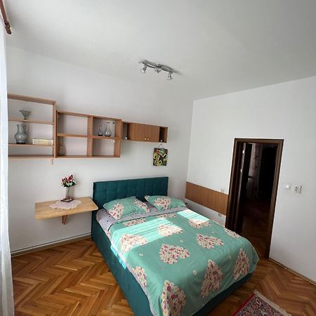 Balcescu Alina'S Apartament Сибиу Экстерьер фото