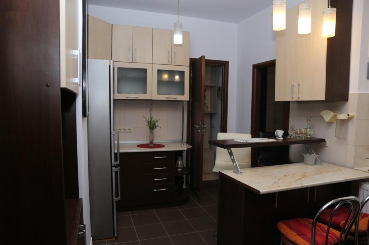 Balcescu Alina'S Apartament Сибиу Экстерьер фото