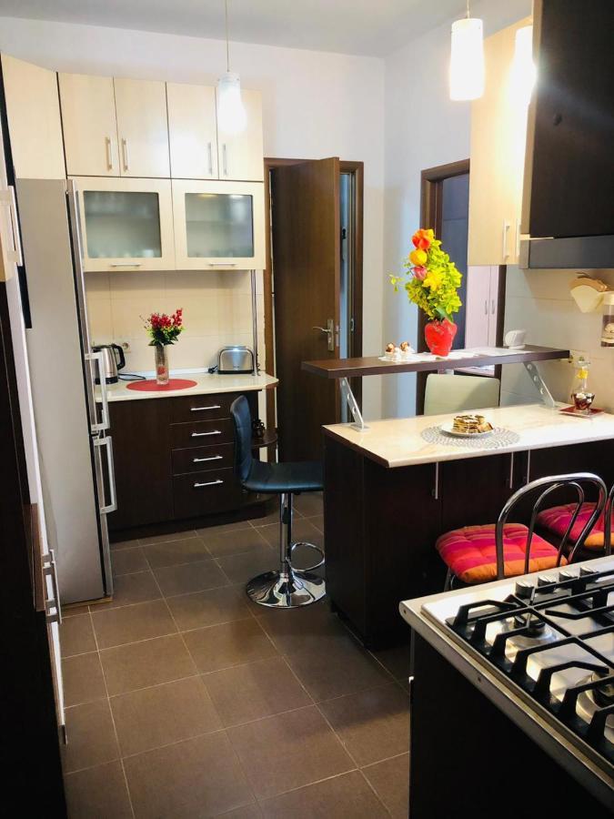 Balcescu Alina'S Apartament Сибиу Экстерьер фото