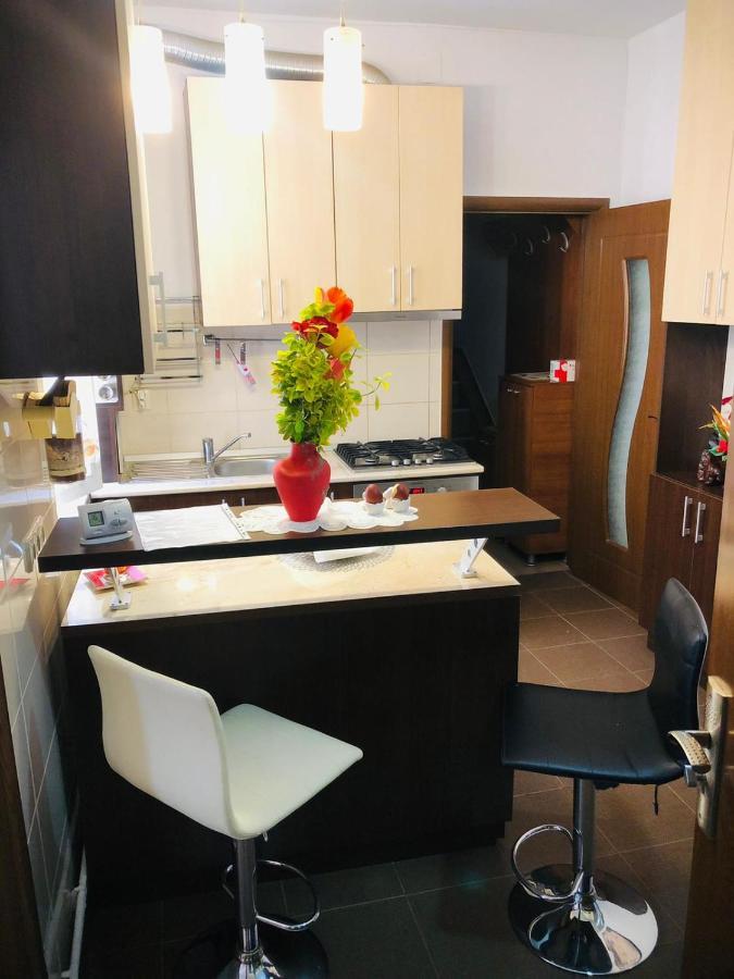 Balcescu Alina'S Apartament Сибиу Экстерьер фото
