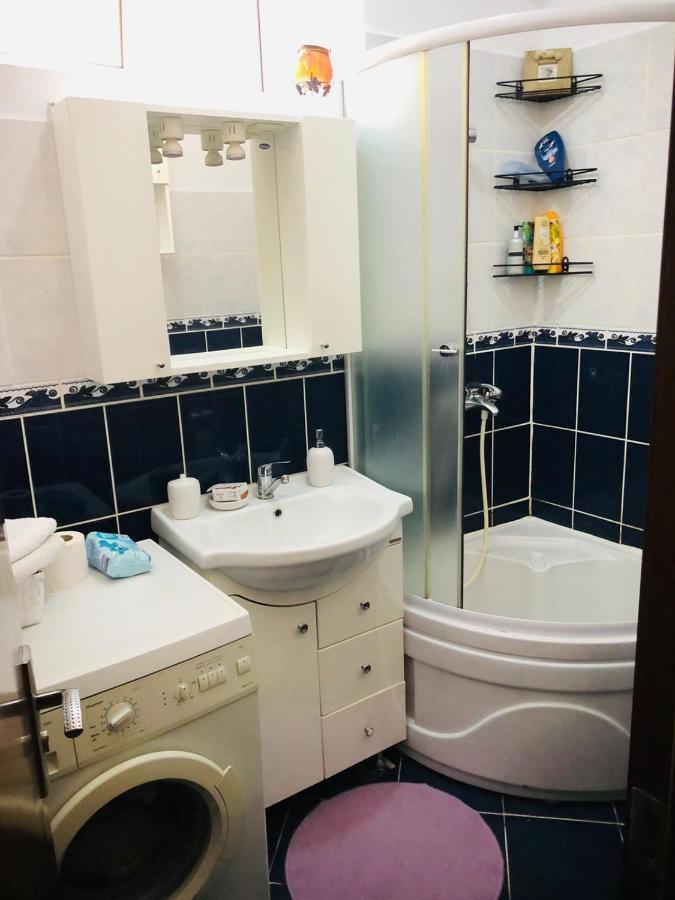 Balcescu Alina'S Apartament Сибиу Экстерьер фото